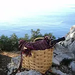 Konavle