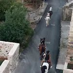 Apartman Konavle *