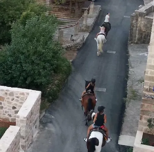 Apartamento Konavle *